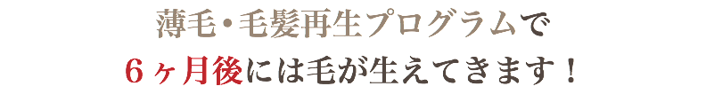 薄毛•毛髪再生プログラムで ６ヶ月後には毛が生えてきます！