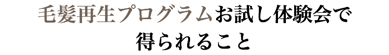 毛髪再生プログラムお試し体験会で 得られること